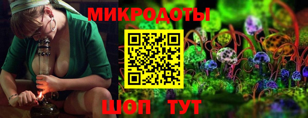 Псилоцибиновые грибы Cubensis Корсаков